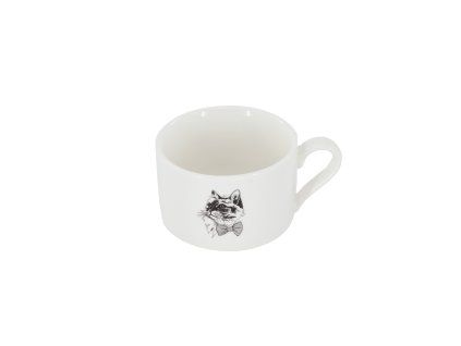11869 salek cat 250ml