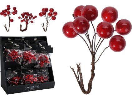 25199 caa723260 composition 001