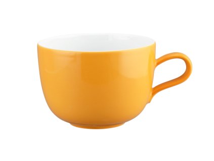 212096 1 li 65542 4747 01 02