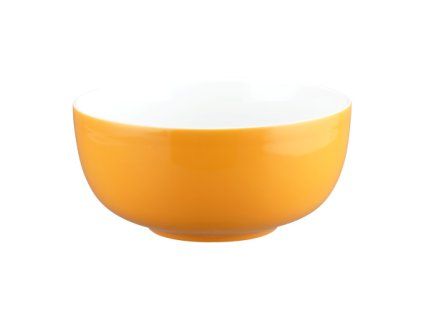 1 LI 65542 0681 01 02