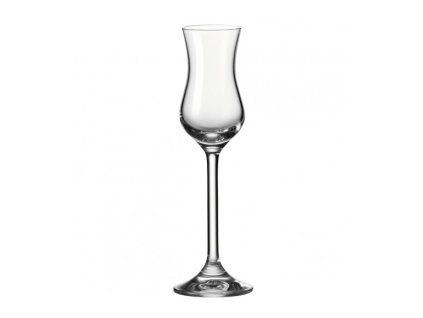 164483 leonardo daily sklenice na grappu 100ml