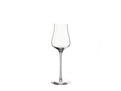 164555 leonardo brunelli sklenice na grappu 210 ml