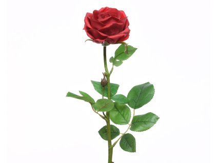166478 ruze 66cm cervena kaeming
