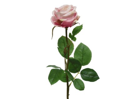 166481 ruze 66cm svetle ruzova kaeming