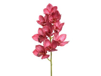 166490 orchidej 71cm fuchsia kaeming