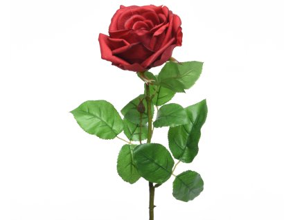 166499 ruze 68cm cervena kaeming