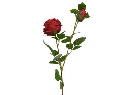 imgl2t5a03fa74c85e2f32d726ec7926007 1 bd9058da1bbb9dbb5a7546e19fbc149d z1