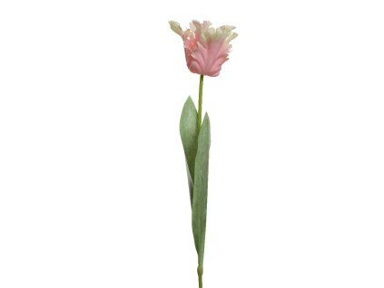 166532 tulipan 68cm svetle ruzovy kaeming