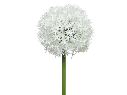 166571 cesnek kulatohlavy 81 cm bily kaemingk