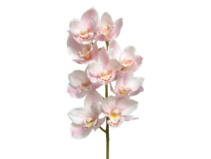 166814 orchidej 71cm svetle ruzova kaeming