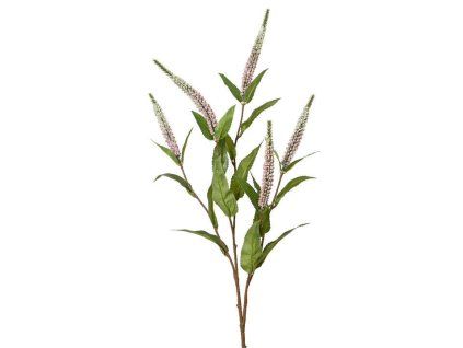 imgln7b597836ae3ae280d5e8e585fdf4e6 1 a32fc454e5ca4f49ca1aaa3d5c8ecbe1 z1