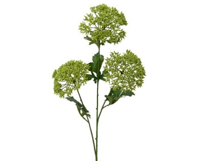 212552 imgln7c158eae9c663ed48cb3aa1efabdab 1 3ef0436f3a9d45dcc58073223be0079d z1