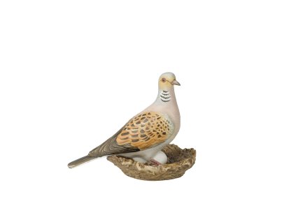 2386 5 goebel ptak roku 2020 hrdlicka mala