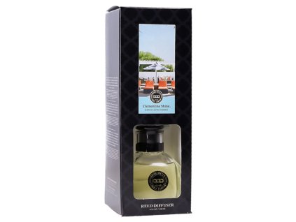 BW127179 WS ClementineShine