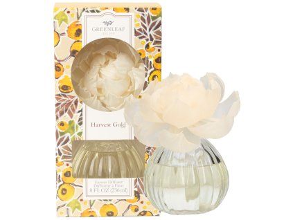 GLG966582 WS HARVESTGOLD