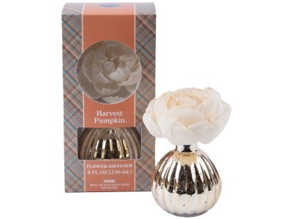 BW129173 WS HarvestPumpkin2