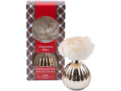 BW129174 WS ChristmasBliss