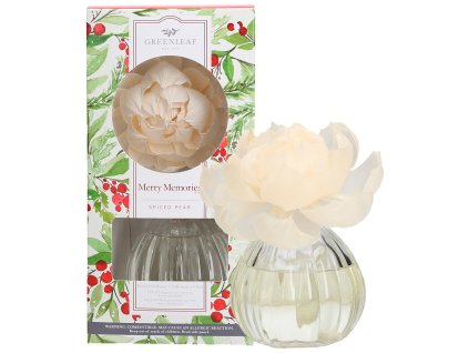 GLG966486 WS MerryMemories