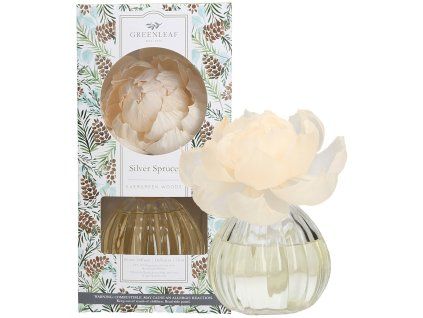 GLG966485 WS SilverSpruce