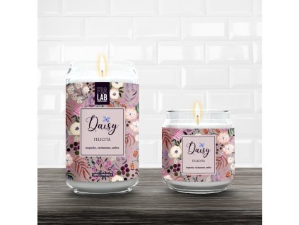 AmbFL DAISY Felicita