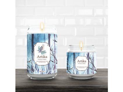AmbFL ARTIKA Foresta Gelata