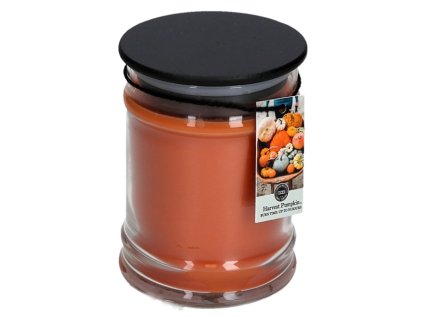 BW025173 LS HarvestPumpkin