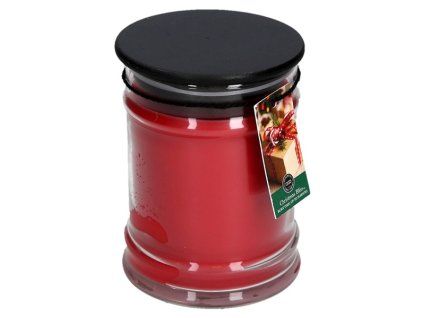 BW025174 LS ChristmasBliss