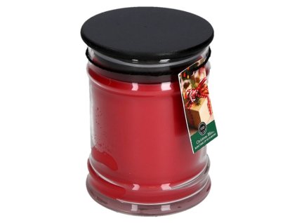 BW025174 LS ChristmasBliss