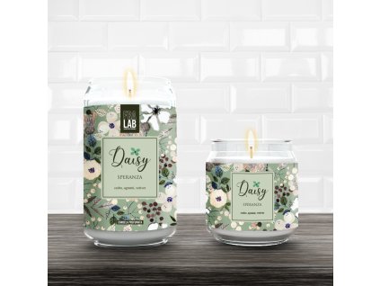 AmbFL DAISY Speranza