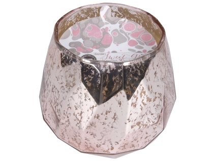 BWFF011 SGC WS Cover scaled