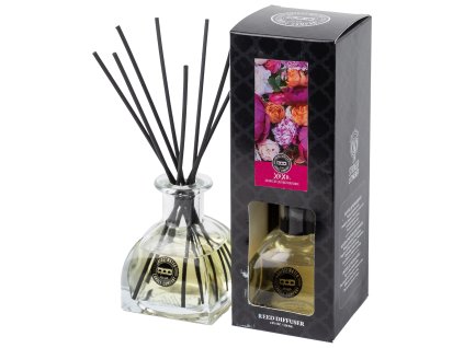 BW127186 WS XOXO 382