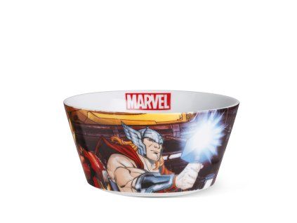 289065 egan marvel miska avengers 490 ml