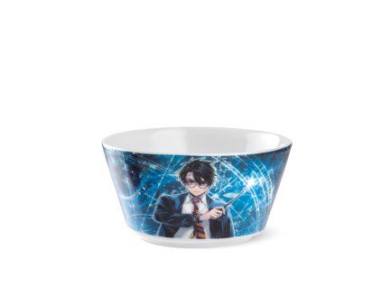 289986 egan warner bros harry potter miska 480 ml