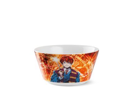289992 egan warner bros harry potter miska ron weasley 480 ml
