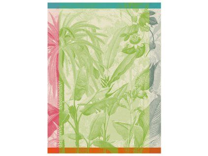 torchon equateur perroquet ps