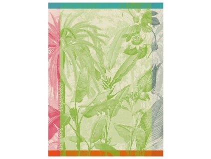 torchon equateur perroquet ps