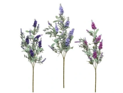 imgln7781c5ef4bdaf651bd515f3bc39d5e 1 01ee92e0b6a37b5fcce3aa70abf15c50 z1