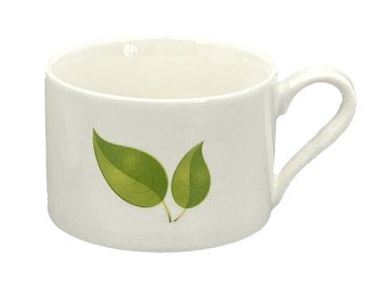 20520 presso salek leaf 80ml