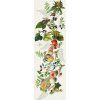 246695 chemin de table abondance d automne naturel
