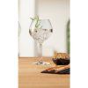 164648 2 leonardo gin sklenice na gin 630 ml 2 kusy