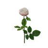 166487 ruze 66cm kremova kaeming