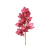 166490 orchidej 71cm fuchsia kaeming