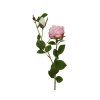 166655 ruze s poupetem 62cm svetle ruzova kaeming