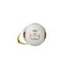247382 6 vyrocni koule 2025 goebel