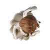 247502 5 andel z hloubi srdce goebel