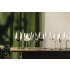 60704 11 eisch inspire sensisplus sada 2 sklenic na bohata a plna vina svetle modra