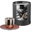 61892 6 eisch cosmo collect espresso salek platina med