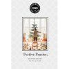 bw106172 sachet ws festivefrasier
