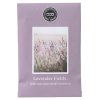 BW106184S WS LavenderFields 327