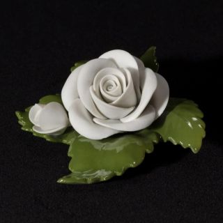 🌹✨ Někdy stačí jediný květ… a prostor najednou působí jemněji a klidněji. Aelteste Volkstedter Růže s poupětem bílá...